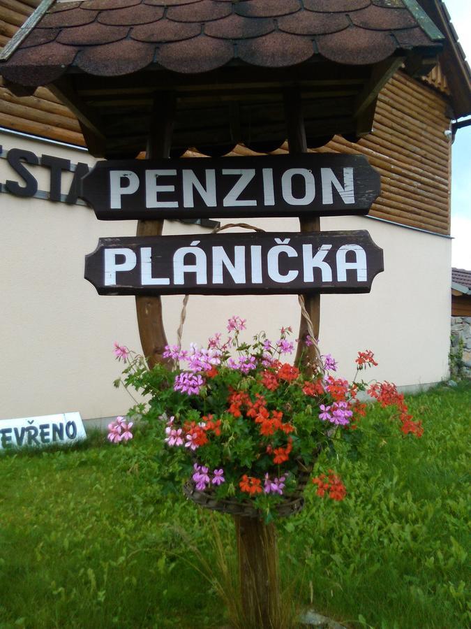 Černá v Pošumaví Penzion Planicka מראה חיצוני תמונה